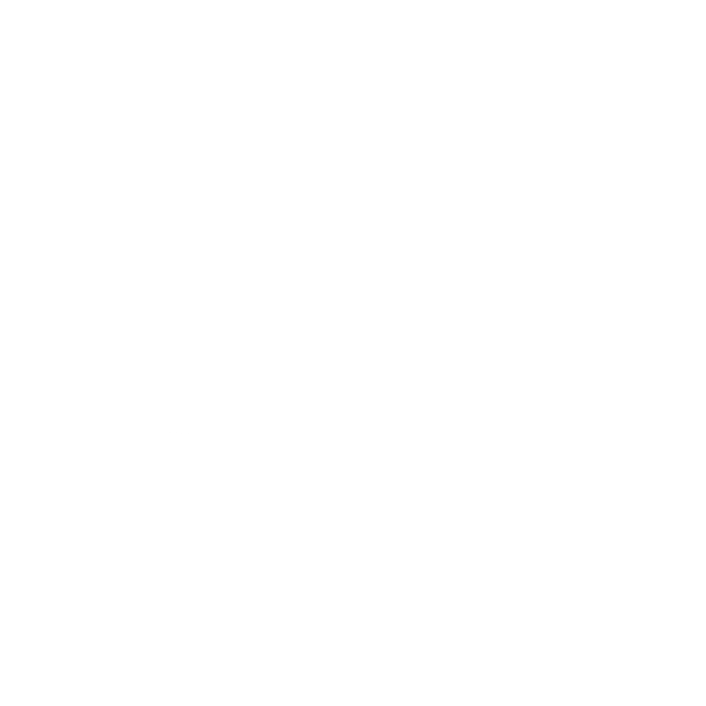 nijlgans.nl